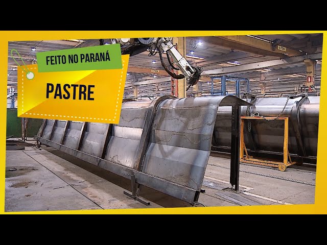 Made in Paraná: Pasture