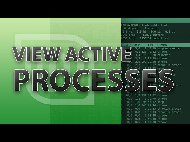 How to view all running processes in Linux Mint
