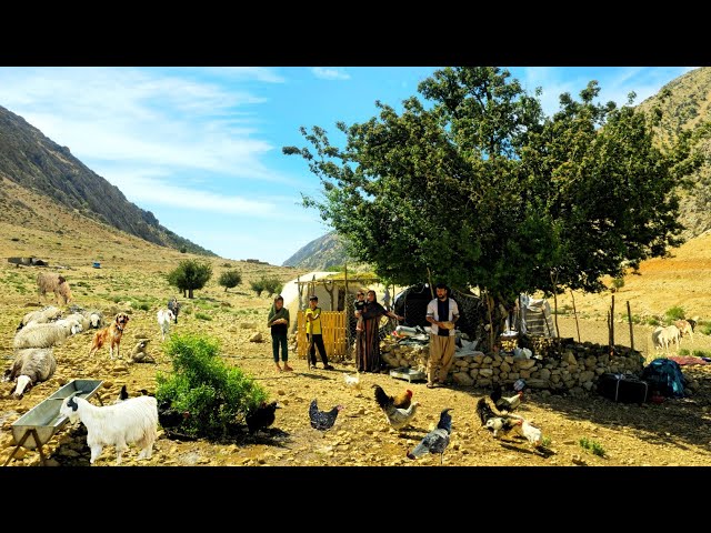 Building a Shelter in the Wild Zagros Mountains | Nomad Family Life 🏕️🏔️🔥