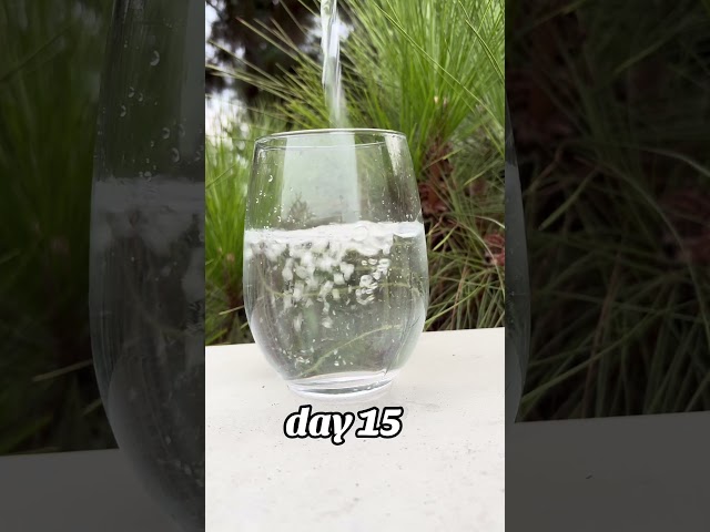 day 15 #water #pouring #algorithm #relaxing #pouringwateruntilfamous #relax