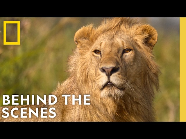 LION: Exclusive BTS Footage of an Incredible Filmmaking Journey | National Geographic