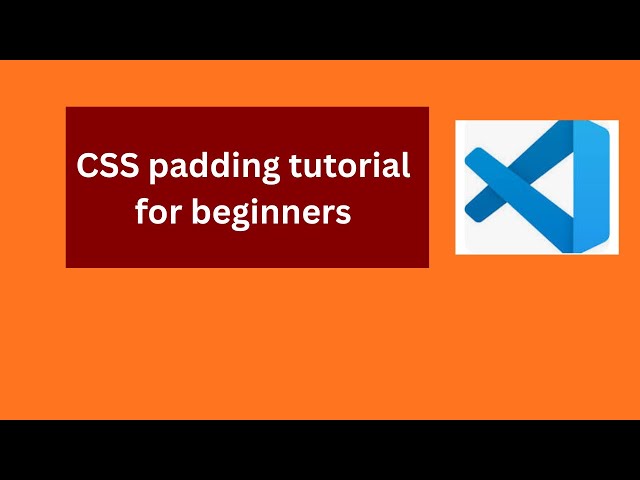CSS padding tutorial for beginners