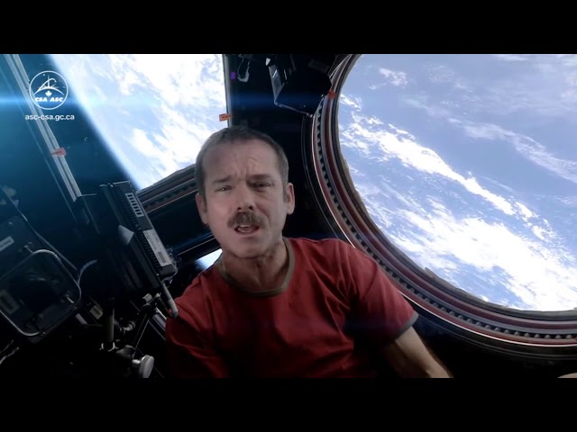Space Oddity