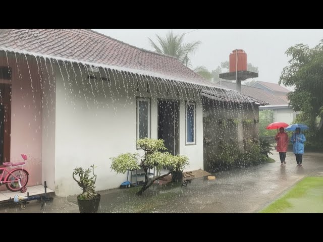 RAIN THAT TOOK THE STORM, LEFT THE LOVE 🌧️💔 Emotional Ambience for Gentle Healing | Deep Rest