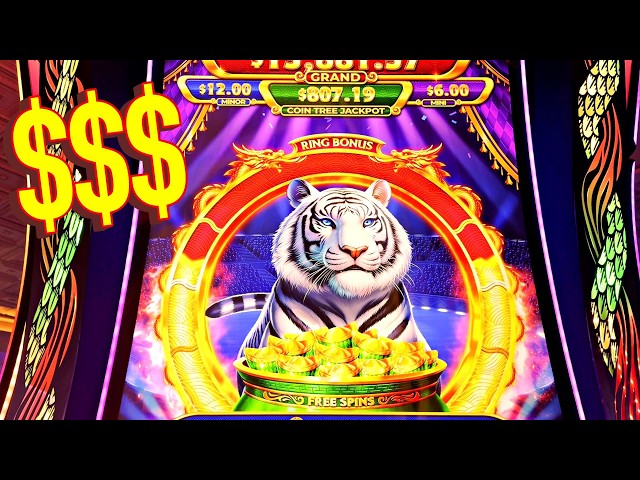THE GREATEST SLOT VIDEO ON YOUTUBE!!!!!!!!!!!!