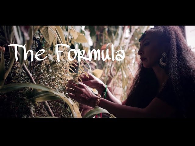 SOLE - The Formula (Official Music Video)