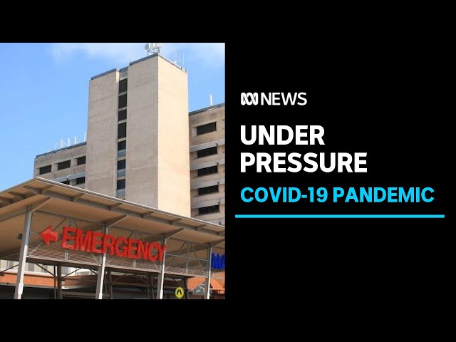 Doctors call for a 'code brown' as the NT struggles under the surge of COVID | ABC News
