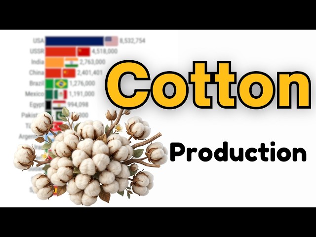 World's Largest The Top 15 COTTON Producers 1961–2026