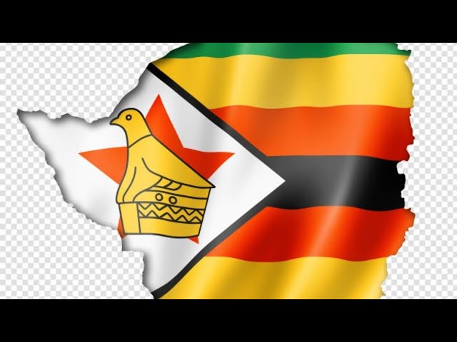 Trevor Mutsipa Live Stream