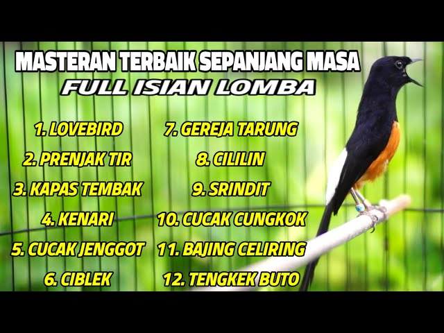 MASTERAN MURAI BATU FULL ISIAN TERBAIK SEPANJANG MASSA