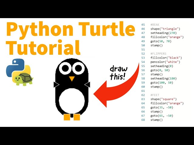 How to Use Python Turtle in Repl.it | Penguin Coding School Tutorial