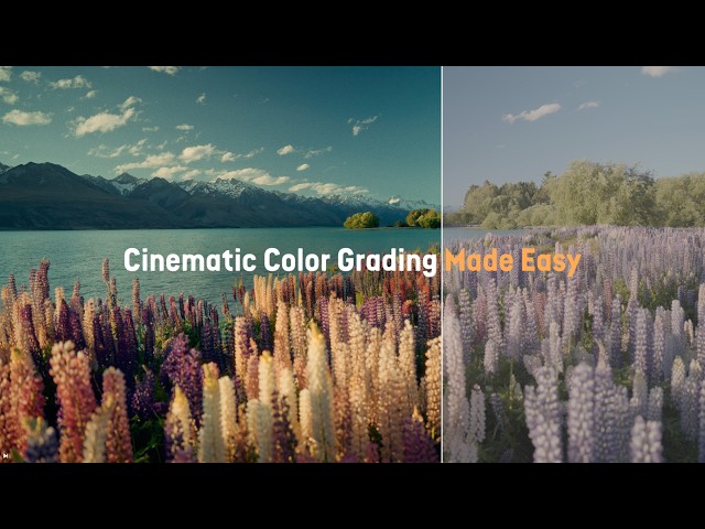 The One-Click Solution for Cinematic Color-Grading