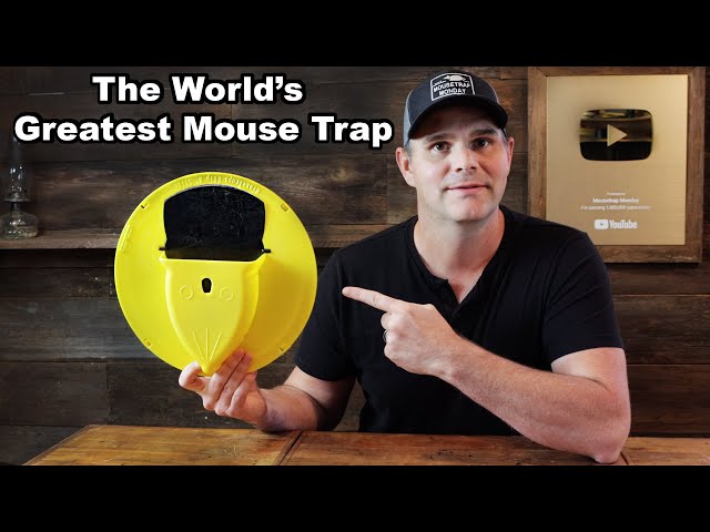 I Discovered The Greatest Mouse Trap Ever Invented! Amazing New Design. Mousetrap Monday