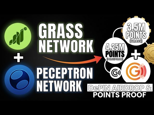 Grass Network Allocation Scam? 3.5M Points = $1.50 😡 | Perceptron Network 4.25M Update!