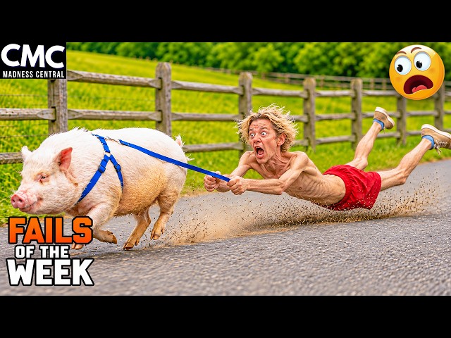 Try Not To Laugh 🤣 TOP 150 Crazy Funny Videos Ever 2026! 😂 | Funny Videos Compilation 2026 #201
