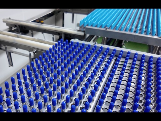 Professional Empty Capsule Manufacturing | Cleanroom Production & Quality Control