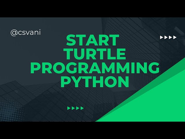 Start Turtle Programming in Python | Beginners | #school #pythonprogramming | Code in description