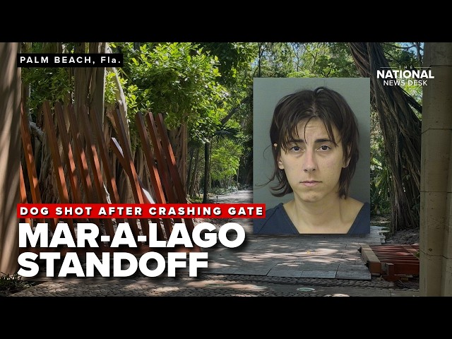 Woman arrested after MAR-A-LAGO STAND OFF, ends with dog shot