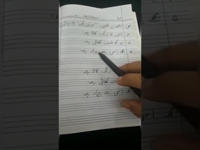 پریپ،اردو ،میری بلی (دوہرائی)