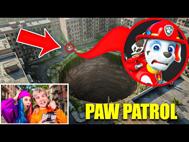 THE DRONE CAUGHT PAW PATROL IN REAL LIFE!! *MARSHALL IN DANGER*