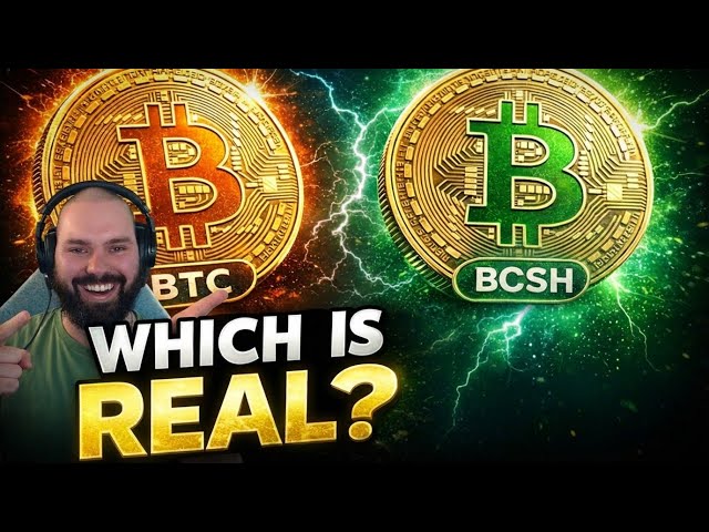 Bitcoin vs. Bitcoin Cash: The Civil War New Bitcoiners Never Heard About