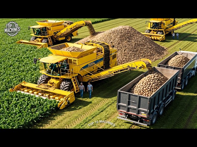 That’s Crazy! Top 40 Agricultural Machinery and Ingenious Tools Working At Another Level! ▶ 74