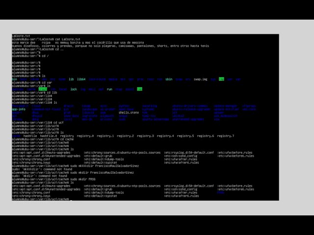 Resolviendo mi práctica con el Shell de Linux Ubuntu Server 26.04