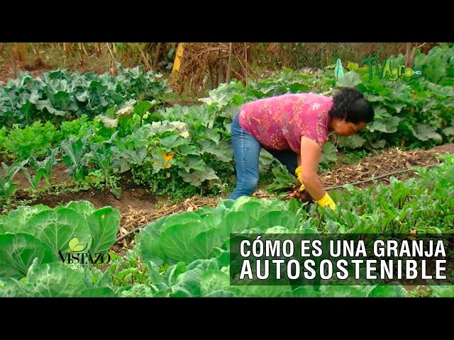 What is a self-sustaining farm like? - TvAgro by Juan Gonzalo Angel Restrepo
