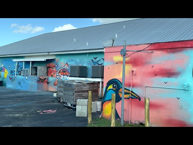 Everglades City, Florida 🌴