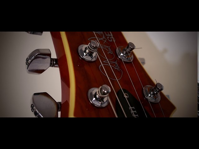 PRS Custom 24 SE Burled Ash with Aumsen bridge - Montage