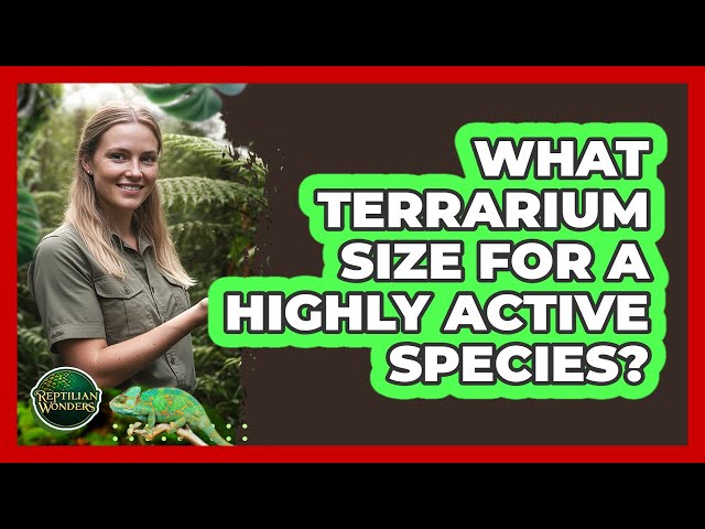 What Terrarium Size For A Highly Active Species?