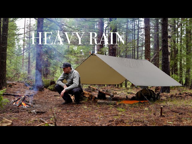 Solo Tarp Camping in Heavy Rain