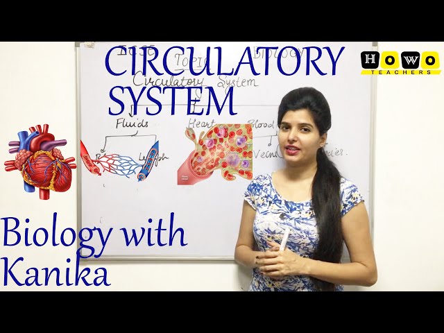 CIRCULATORY SYSTEM | BLOOD VASCULAR SYSTEM | HEART | BIOLOGY | HOWO | KANIKA CLASSES