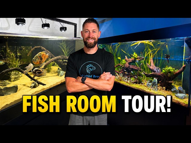 All of My Aquariums & Fish! (Massive Fish Room Tour 2026)