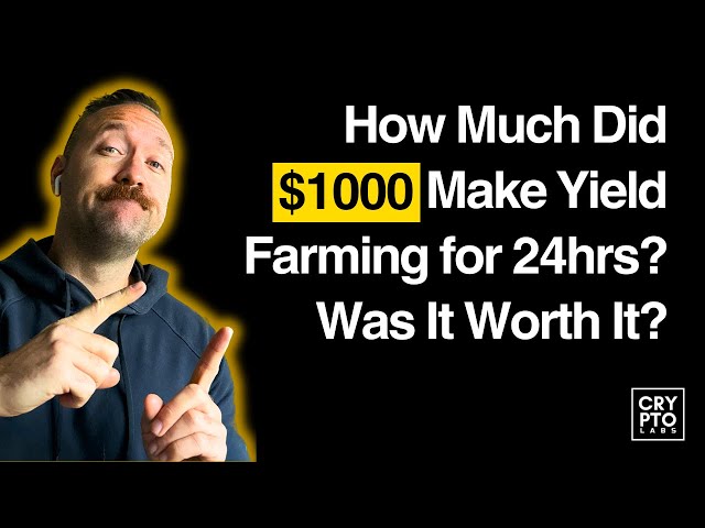 My $1000 Defi Portfolio Earnings After 24 Hours Yield Farming.