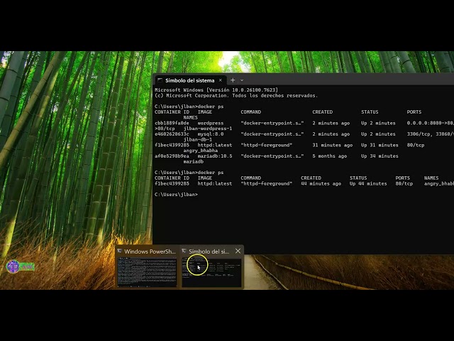 Instalando un Wordpress con docker compose