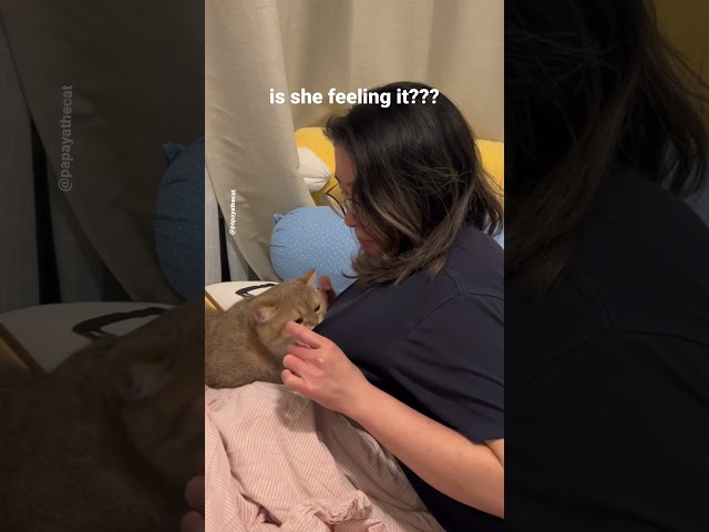 Spraying myself with catnip to see how my cat would react #shorts