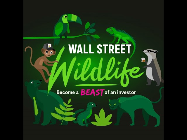 E101: AMD's 35% Explosion, Our Secret Valuation Tool & Buying Portfolio Insurance with Options