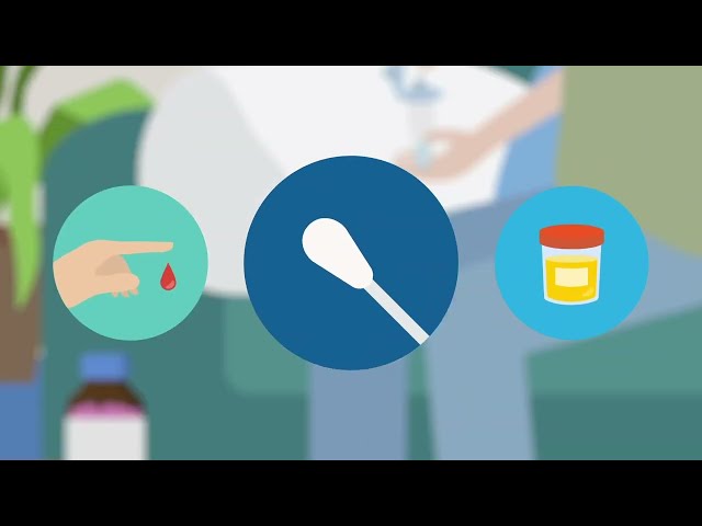 How does a lateral flow test work?