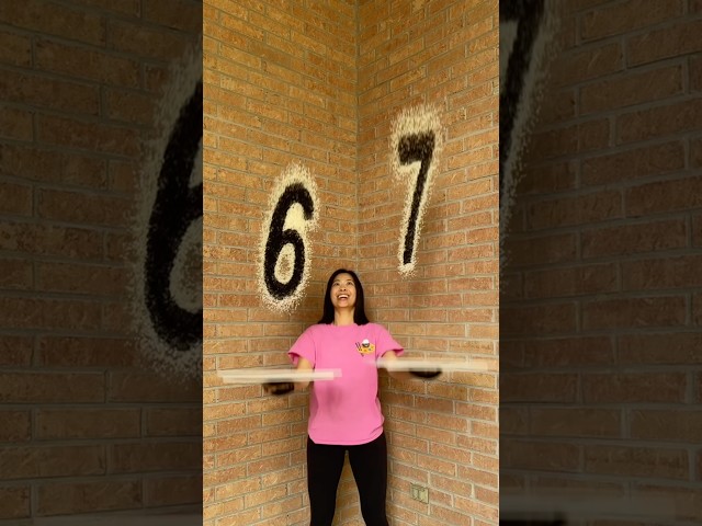6-7… what does it mean? #67 #sixseven #art #forfun #artist #riceart
