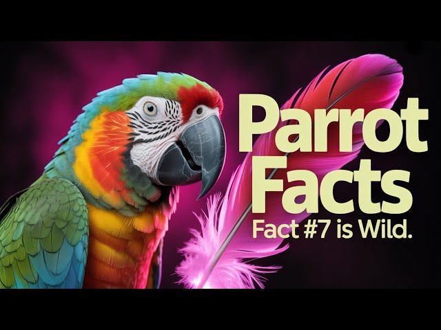 Top 10 Parrot Facts – The Talking Geniuses of Nature