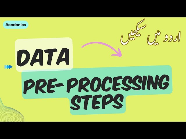 Data Preprocessing Steps