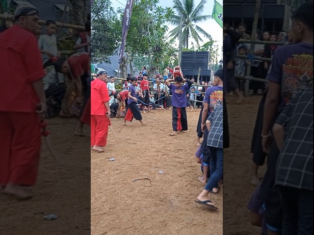 SATRIO RONGGO BUDOYO x BANTENG BOLO DEWO - #shorts #seni #budaya #culture #carnaval #sports #trip