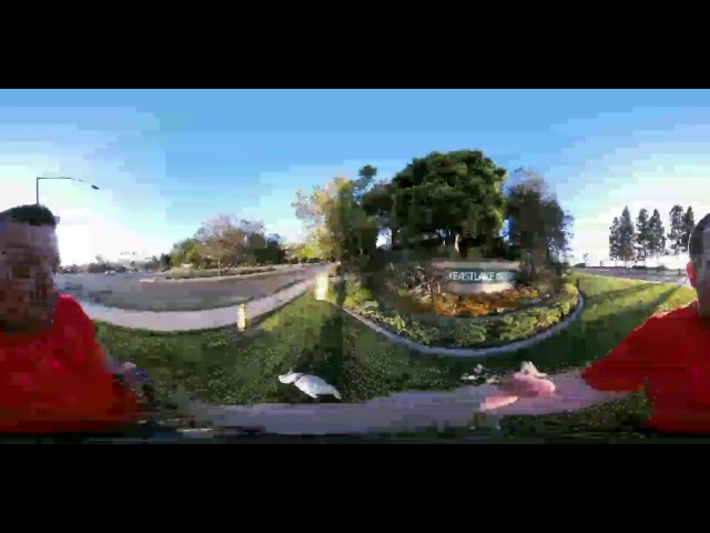 Live 360 Cam!!