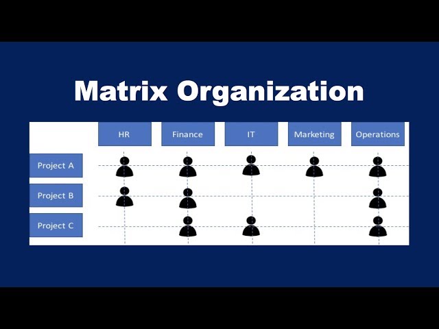 What is a Matrix Organization?