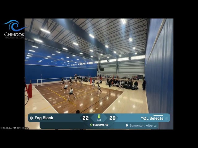 YQL Selects vs. Fog Black (2026.03.29)