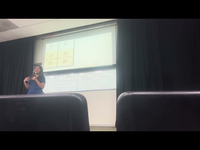 19 de septiembre de 2025