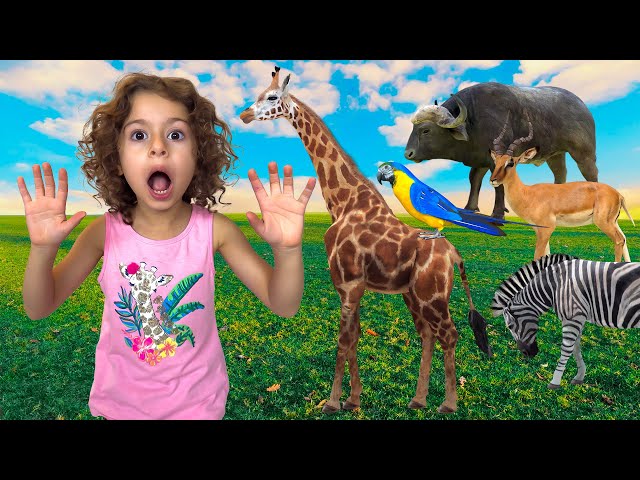 Neva's Fun Guide to National Animals Around the World!