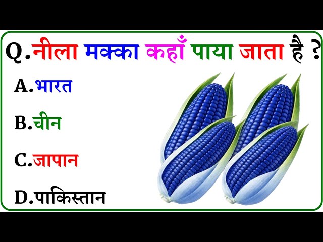 GK Question || GK In Hindi || GK Question and Answer || GK Quiz ||