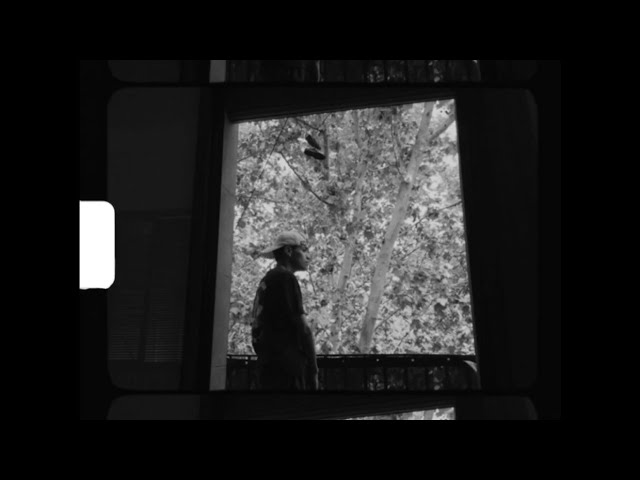 Para Ti - Shaiel Rodriguez (VISUALIZER)